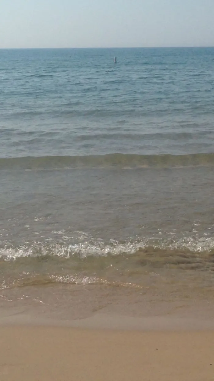 The Beach