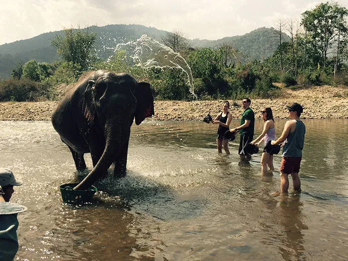 The Water Also Looks Like An Elephant