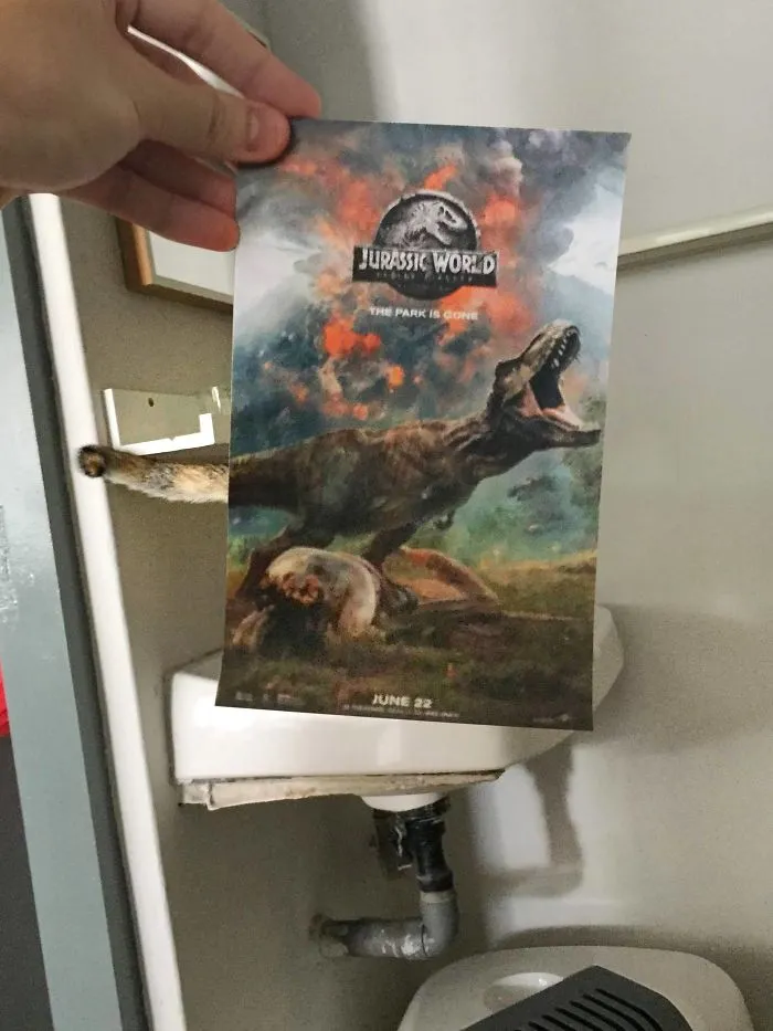 Photographer Follows Cats Around To “Insert” Them Behind Famous Movie Posters, And The Result Is Purrfect