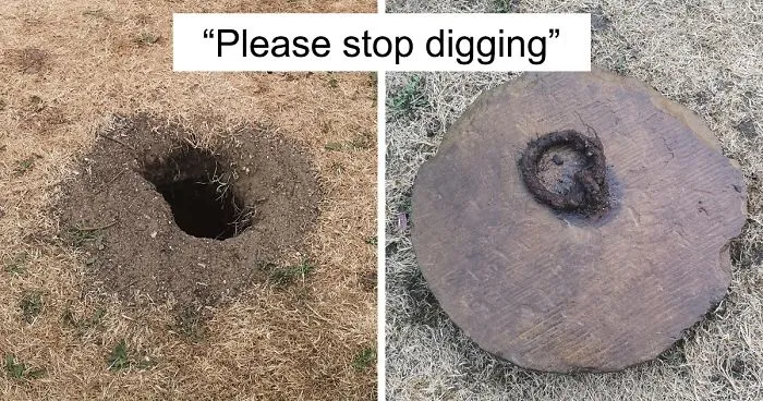Guy Asks The Internet To Help Identify A Hole That Appeared In His Garden, Probably Wishes He Didn't