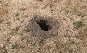 Guy Asks The Internet To Help Identify A Hole That Appeared In His Garden, Probably Wishes He Didn't