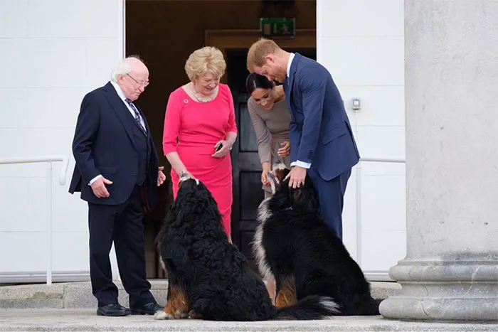 People-Love-Ireland-President-Michael-Higgins