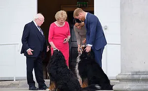 Tired Of Your President? Then Take A Look At 24 Photos Of Ireland's President Being The Best President