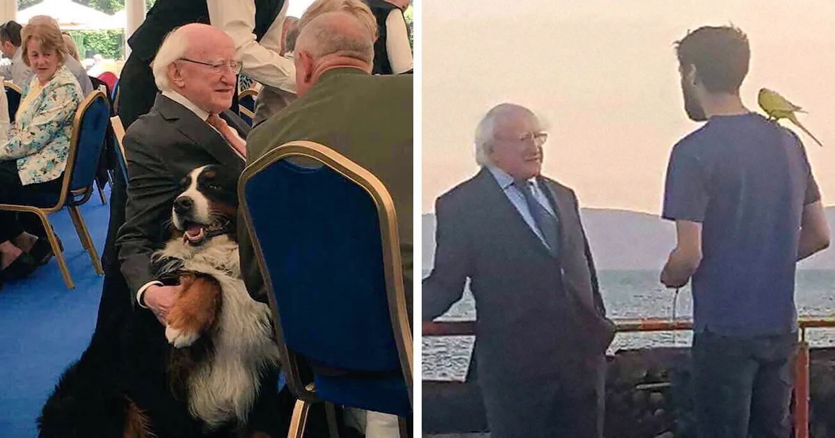 ¿Estás harto de tu presidente? No te pierdas estas 15+ fotos del presidente de Irlanda siendo el mejor