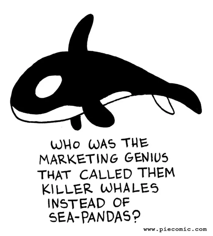 You'll Be Laughing Out Loud While Reading These 205 Pie Comics