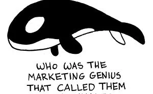 You'll Be Laughing Out Loud While Reading These 205 Pie Comics