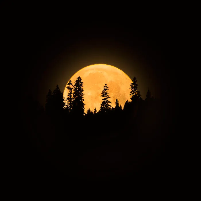 The Best Photo Of Moon Eclipse On Internet ?