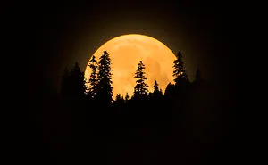 The Best Photo Of Moon Eclipse On Internet ?