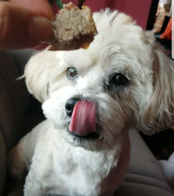 That Looks Delicious!