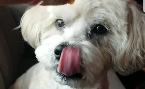 That Looks Delicious!