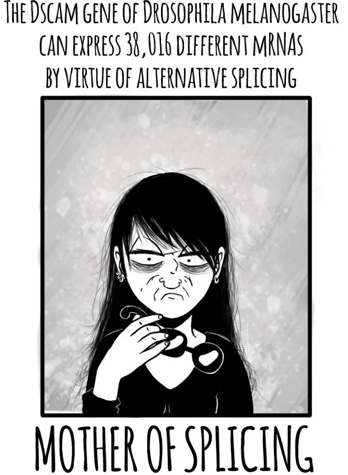 Mother Of Splicing