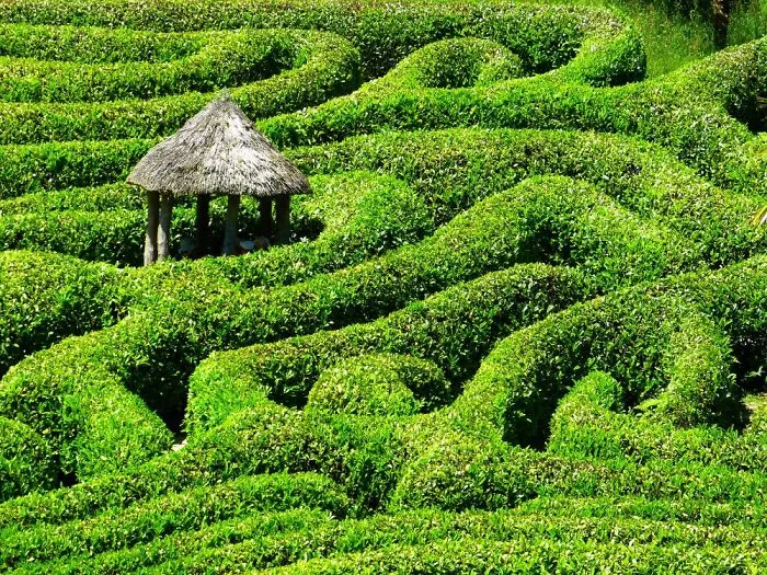 5 British Maze Gardens That Will Blow Your Mind
