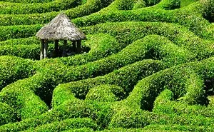 5 British Maze Gardens That Will Blow Your Mind