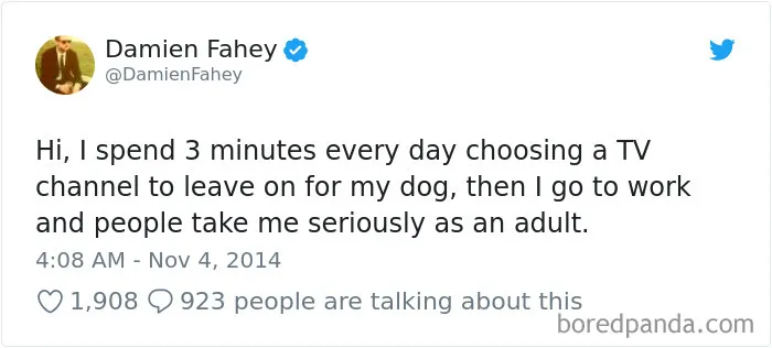 233 Funny Dog Tweets Every Dog Owner Should See ASAP