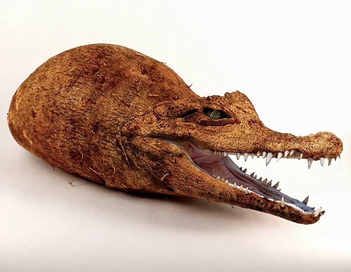 Photoshop Artists Combine Animals And Plants Into One Interesting Object