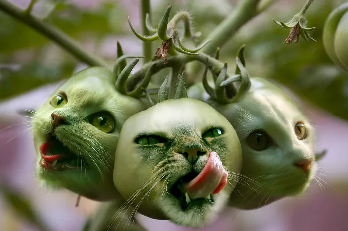 Photoshop Artists Combine Animals And Plants Into One Interesting Object