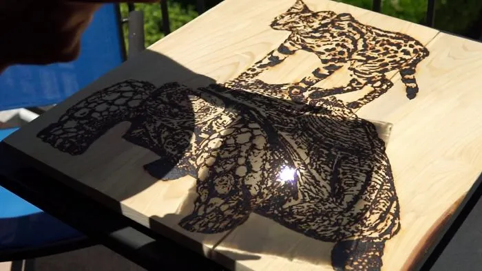 Artist Uses A Magnifying Glass In The Sun To Burn Incredible Art In Wood
