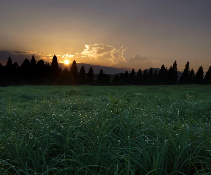 The Sun Goes Down