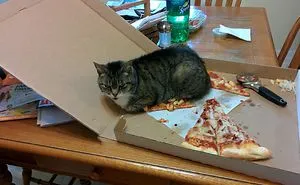 105 Times People Forgot Something And Faced Hilariously Awful Consequences