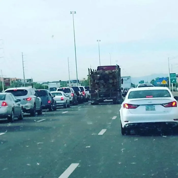 Everyone Else On The Freeway Has Seen Final Destination Too
