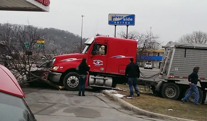 Lo siento, he metido la pata con el cambio de marchas