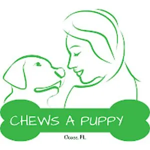Chews A Puppy