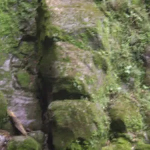Luis Daniel
