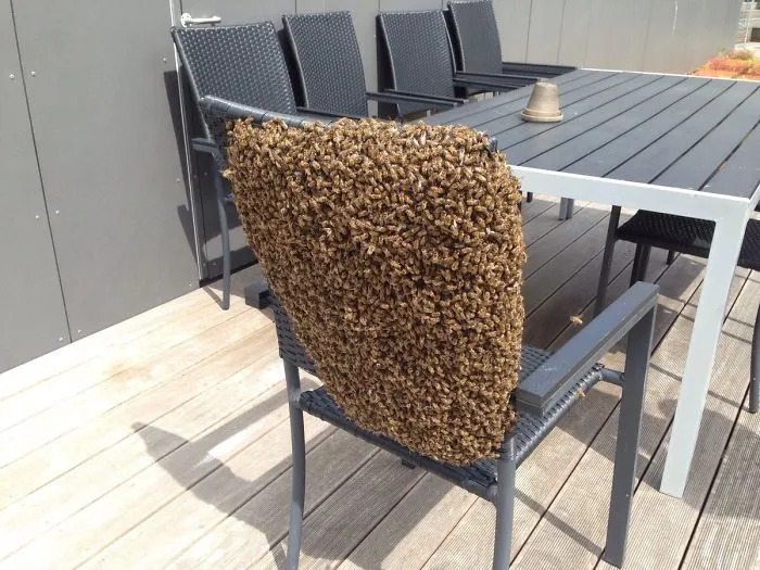 Toma asiento