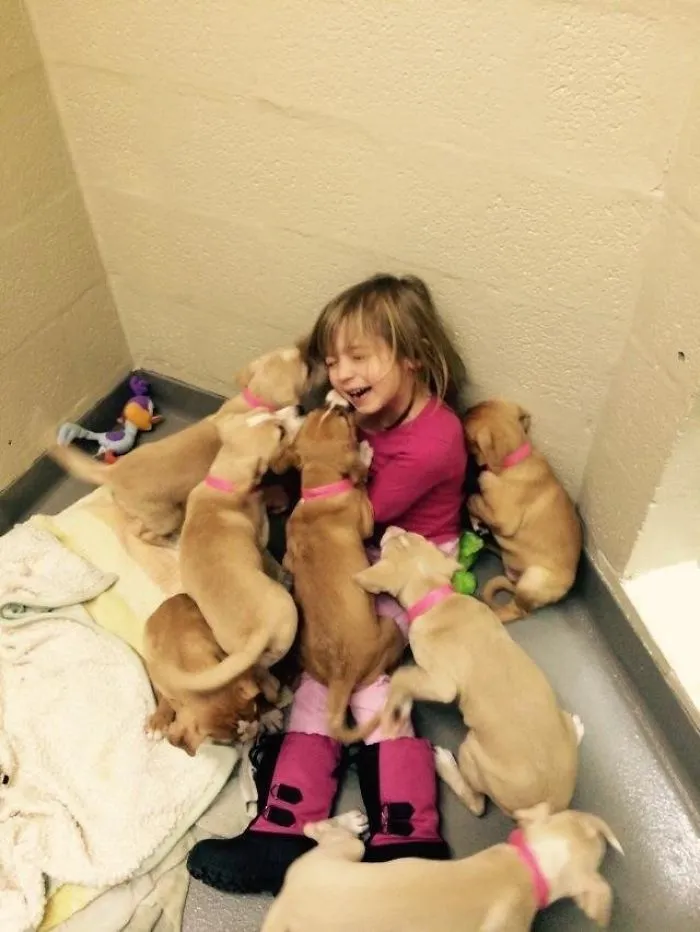 A child laughing while surrounded by cute puppies wearing pink collars.