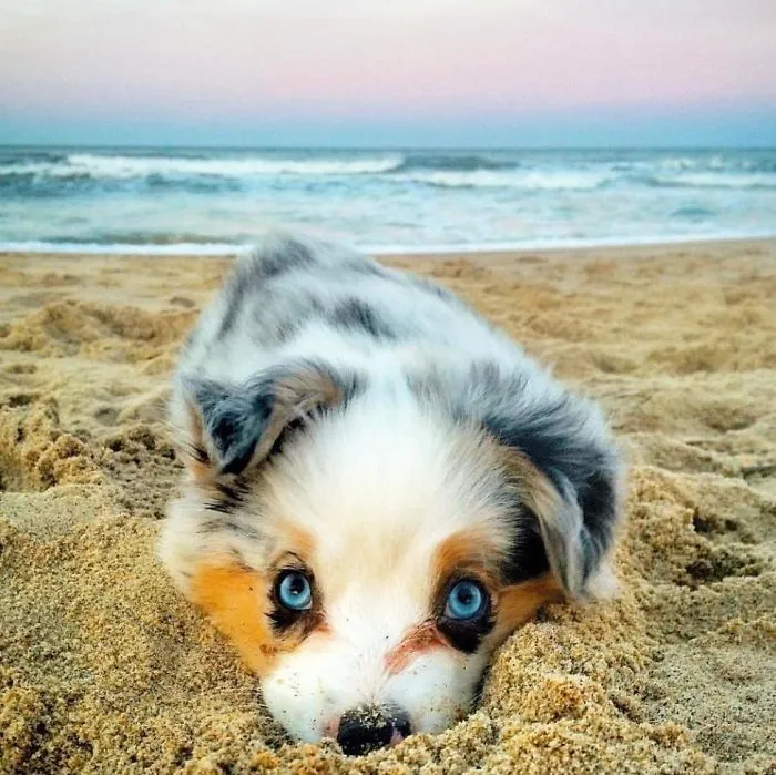 Disfrutando en la playa