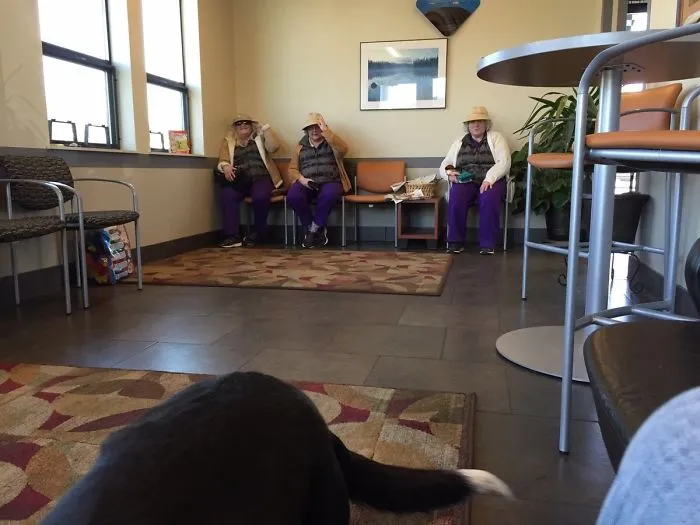 I Found A Glitch In The Matrix
