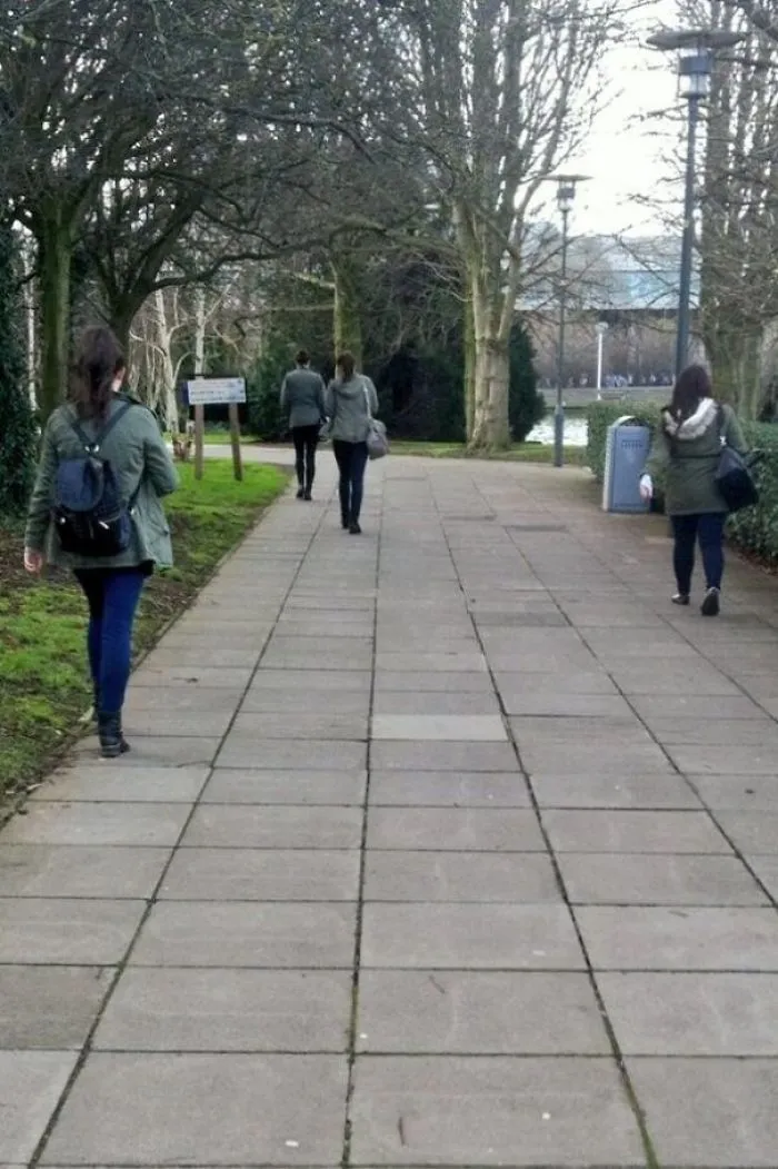 They're Multiplying!
