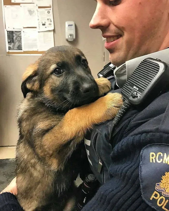 Nervous Cadet Reporting For Duty