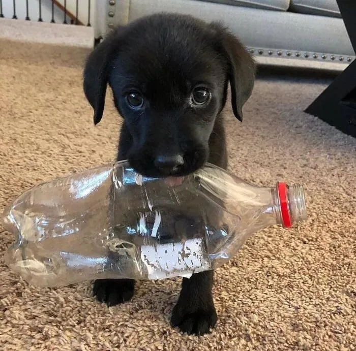 Recycle For Me