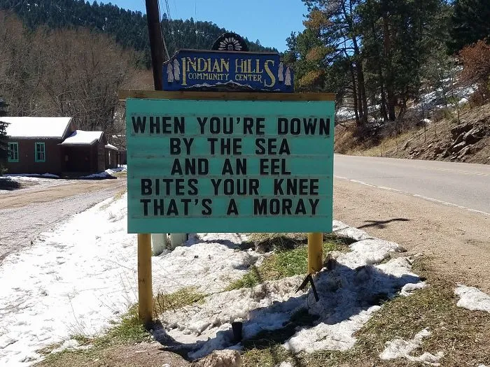 Someone In Colorado Is Putting The Funniest Signs, And The Puns Are Priceless (50 Pics)