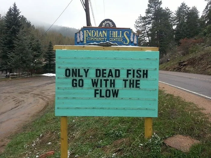 Someone In Colorado Is Putting The Funniest Signs, And The Puns Are Priceless (50 Pics)