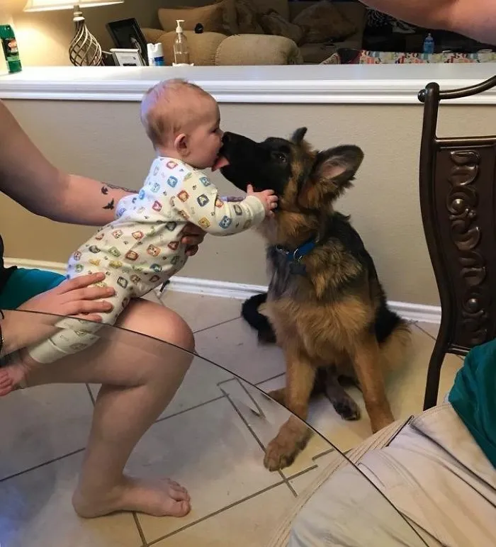 Baby interacting with a cute puppy, showcasing a heartwarming moment between a child and a dog.