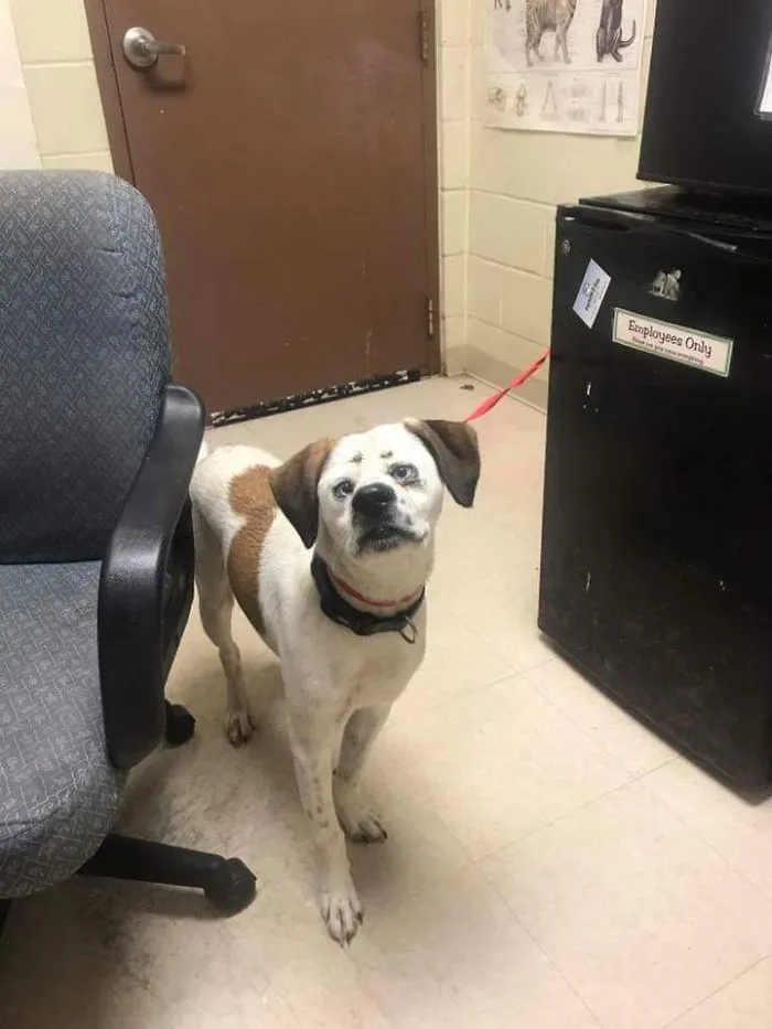 His Face Is Perfect