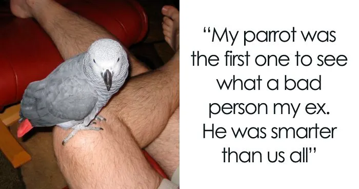 Tumblr Users Share Hilariously Unbelievable Encounters That Prove Parrots Have Sense Of Humor