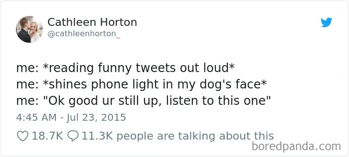 233 Funny Dog Tweets Every Dog Owner Should See ASAP