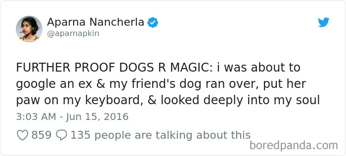 233 Funny Dog Tweets Every Dog Owner Should See ASAP