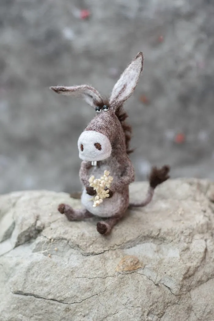 Why The Donkey Has Such Long, Long Ears?