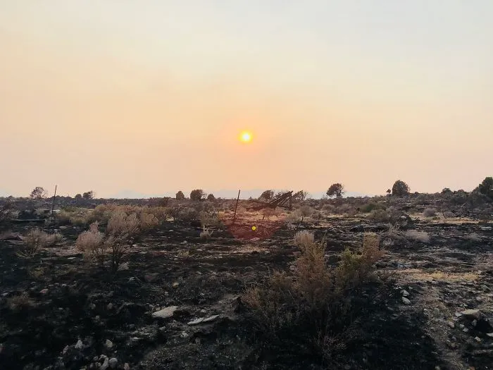 California Dreaming: Leftover Nightmare
