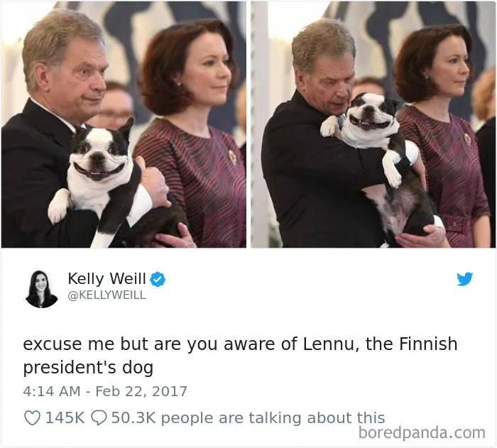 233 Funny Dog Tweets Every Dog Owner Should See ASAP
