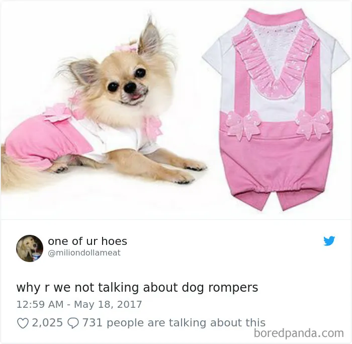 233 Funny Dog Tweets Every Dog Owner Should See ASAP