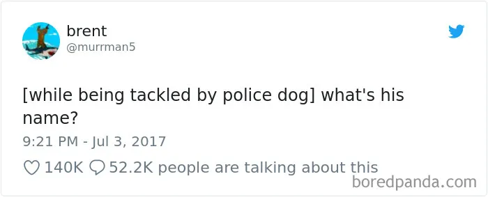 233 Funny Dog Tweets Every Dog Owner Should See ASAP