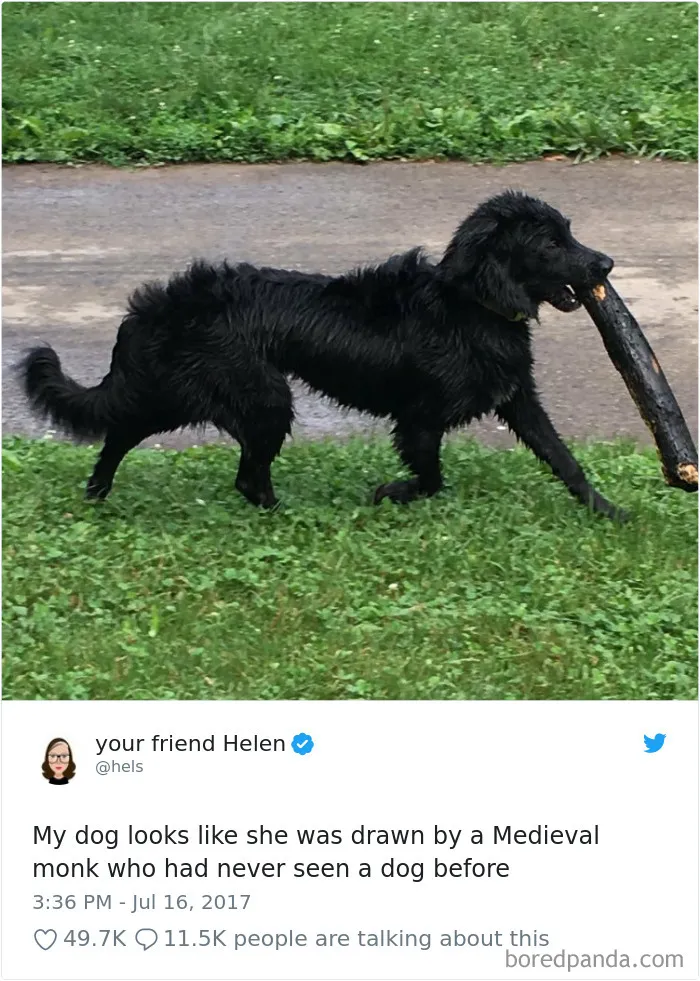 233 Funny Dog Tweets Every Dog Owner Should See ASAP