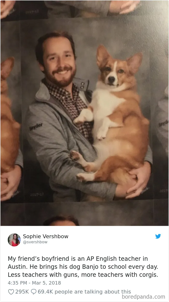 233 Funny Dog Tweets Every Dog Owner Should See ASAP