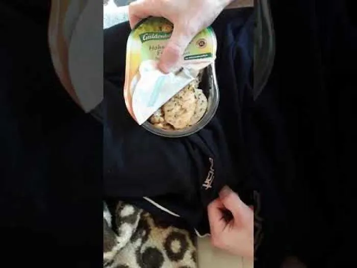 My Hungry Wasp