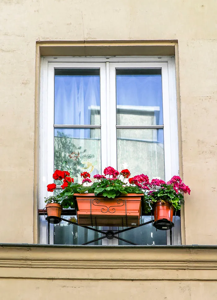 Flowery Windows